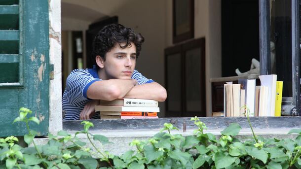 Chalamet's Hit With 2 Oscars Was Still a Lame Adaptation of the Original Book - image 1