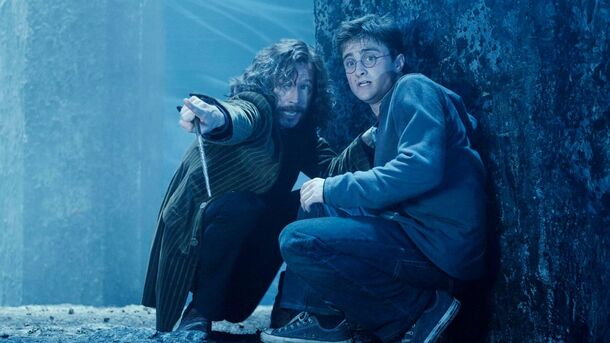 Sirius Black’s Cause of Death? Sharing One Brain Cell with Harry - image 1