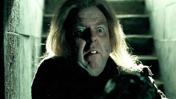 7 Reasons Peter Pettigrew Was a Powerful Villain in Harry Potter - image 2