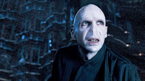 Peter Capaldi Isn't in 'Harry Potter' Yet — But He Could Be, in These 5 Roles - image 5