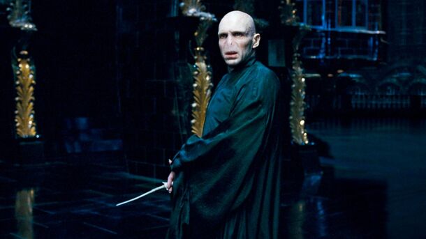 Harry Potter Hidden Detail Gives Voldemort Robes More Personality Than Ginny Ever Had - image 1