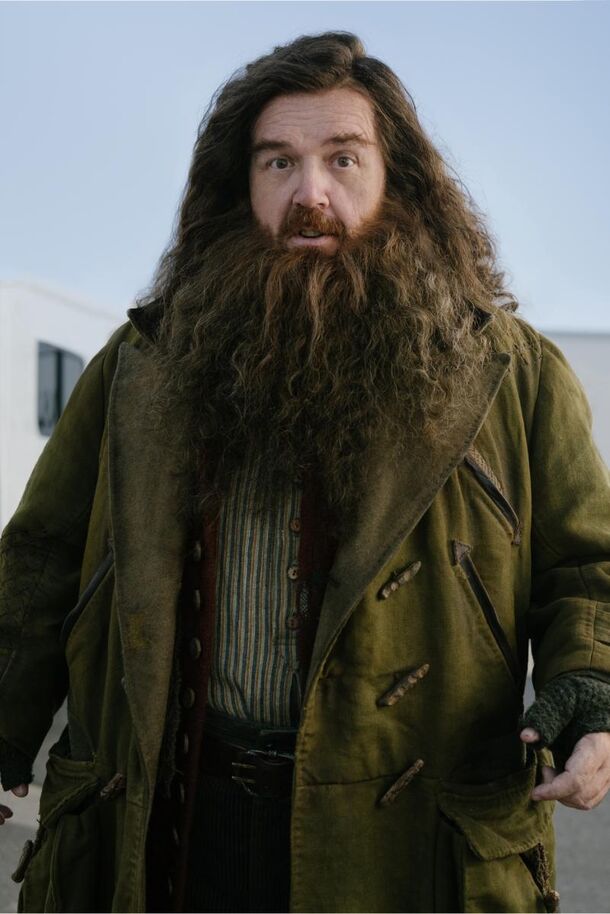 First Look at Hagrid Actor in New 'Harry Potter' Has All Fans Saying the Same Thing - image 1