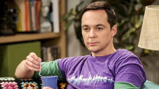 10 Best Characters From ‘The Big Bang Theory’, Ranked From Good to Greatest - image 8