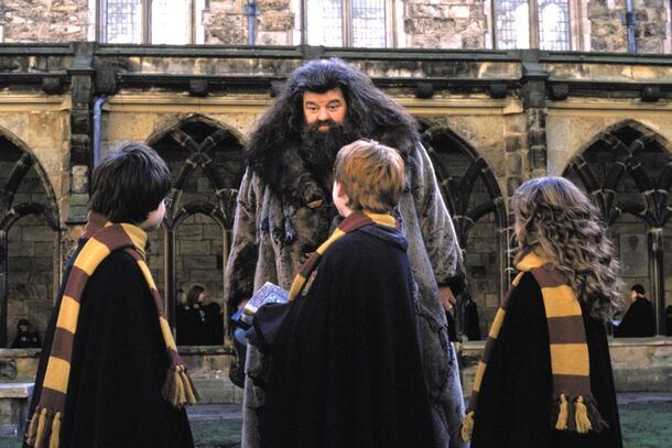Real Reason Why Hagrid Cared about Students So Much Will Break Your Heart - image 2