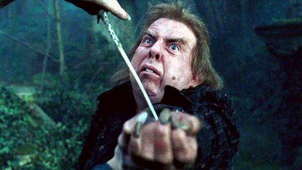 7 Reasons Peter Pettigrew Was a Powerful Villain in Harry Potter - image 1