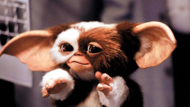 ‘Gremlins’ Zach Galligan Just Gave Us The Update We’ve Waited 30 Years For - image 1