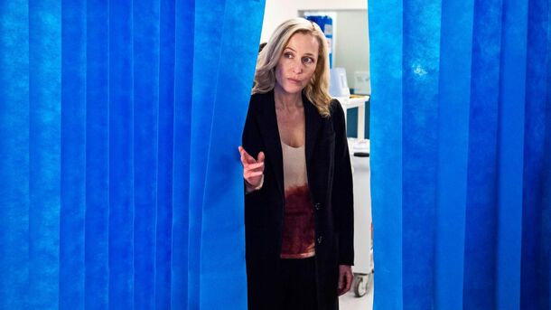 Gillian Anderson's Forgotten Crime Drama With 8.1 on IMDb Is a Perfect You Replacement - image 2