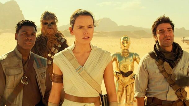New Star Wars Update Suggests Rey Movie Could Fix Sequel's Problems - image 1