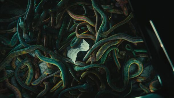Mutts in The Hunger Games: What They Are and Why the Capitol Created Them, Explained - image 3