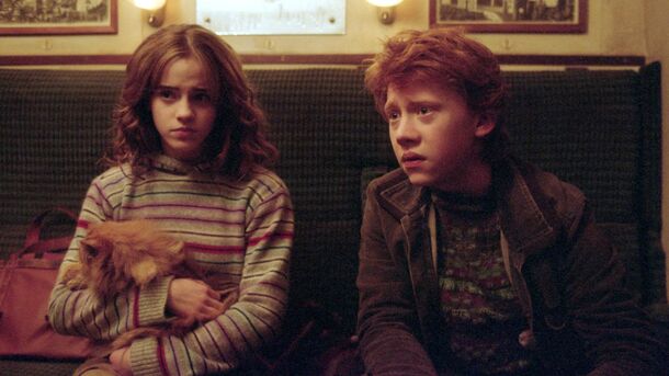 5 Times Hermione Granger Dropped the Ball and Did Something Stupid - image 4