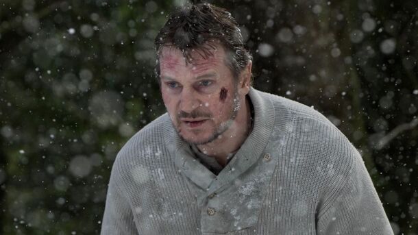 6 Great Liam Neeson Movies to Watch Instead of ‘Taken’ - image 6