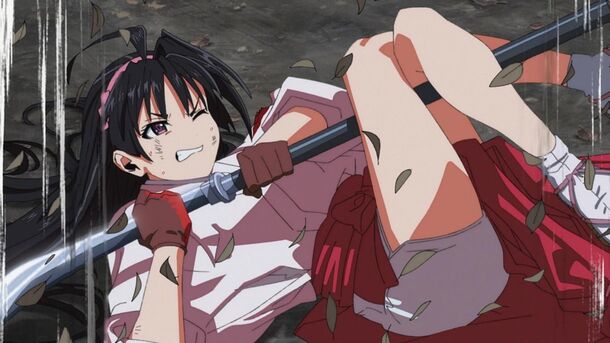 The Elusive Samurai (2024) — season two lost the animation that made season one