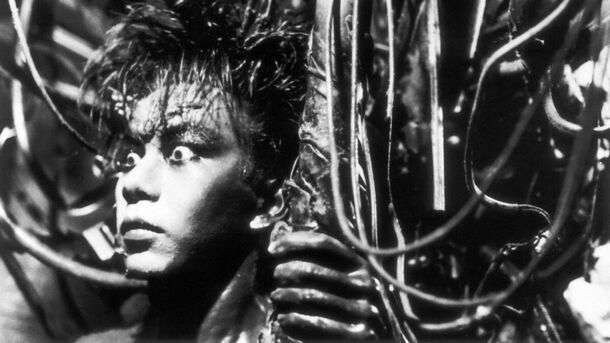 10/10 Horror Movies to Watch on Kanopy Right Now - image 9