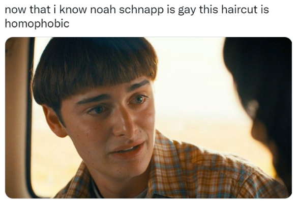 Noah Schnapp's Gen Z Coming Out Spurred Some of the Best Memes We've Ever Seen - image 3