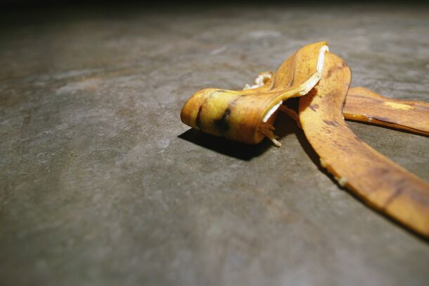 A banana peel, the raw material for the fertiliser