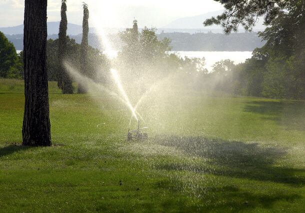 A sprinkler running on green grass — the one thing a dormant lawn does not need yet