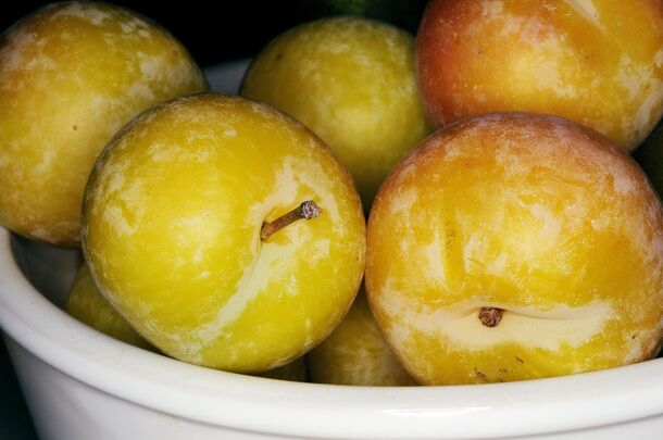 A bowl of ripe fruit — the cheapest calm your kitchen sells