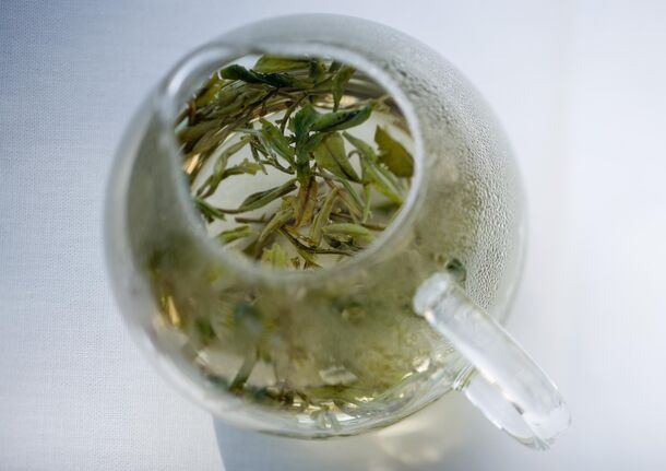 Loose green tea steeping in a glass — where the EGCG actually comes from