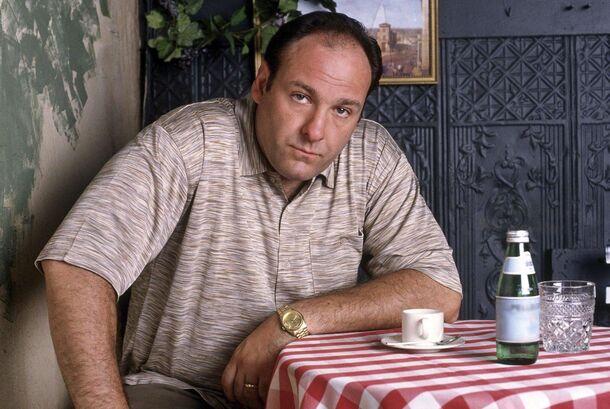 HBO Had to Pay $3 Million to Rob The Office Of The Sopranos Star - image 1