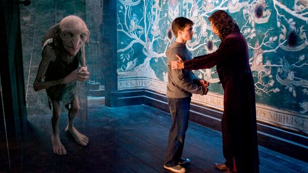 Sirius Black’s Cause of Death? Sharing One Brain Cell with Harry - image 2
