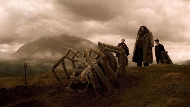 Harry Potter: This One Scene Proves Rubeus Hagrid Was An Absolute Menace - image 1