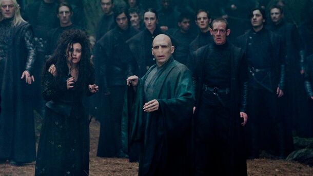 Lord Voldemort's Biggest Downfall Was His Diva-Like Attention Lust - image 1