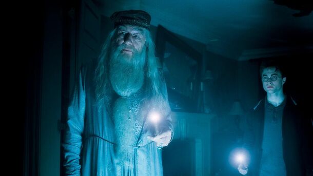 Harry Potter: Why Didn't Dumbledore Send The Order After Horcruxes? - image 2
