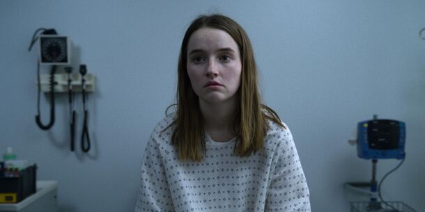 8 Netflix Miniseries With 80% & Higher RT Scores You Can Watch in One Sitting - image 6