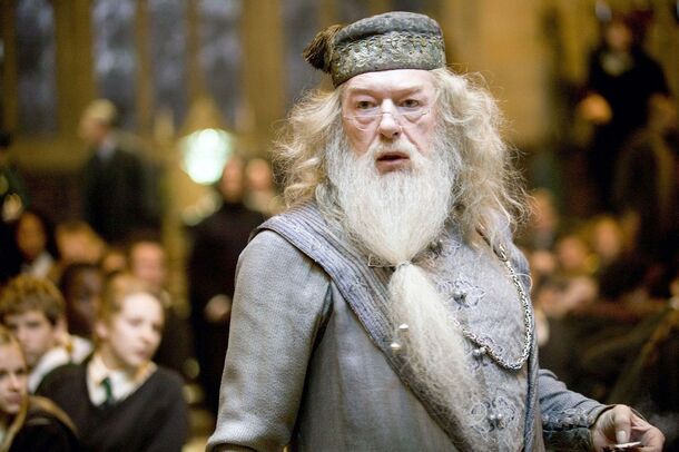 5 Popular Harry Potter Fan Theories That Are Unbearable to Everyone - image 2
