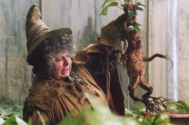 Harry Potter Cast Divided After Miriam Margolyes’ Controversial Take on Adult Fans - image 1