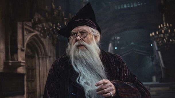 'Finding Harry: The Craft Behind the Magic': What Did We Learn From the Special About the Most Awaited Series of 2026? - image 2
