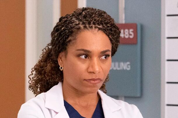 2 Grey's Anatomy's Grey Sisters We Loved, And 1 That Should've Been Written Off - image 2