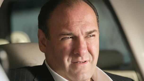 All The Sopranos Characters Deserve Our Hate, but This One is Simply the Worst and Here's Why - image 1