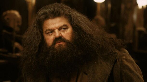 You Can See HBO’s New Harry & Hagrid Together Sooner Than Expected - image 2