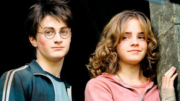 5 Times Hermione Granger Dropped the Ball and Did Something Stupid - image 2