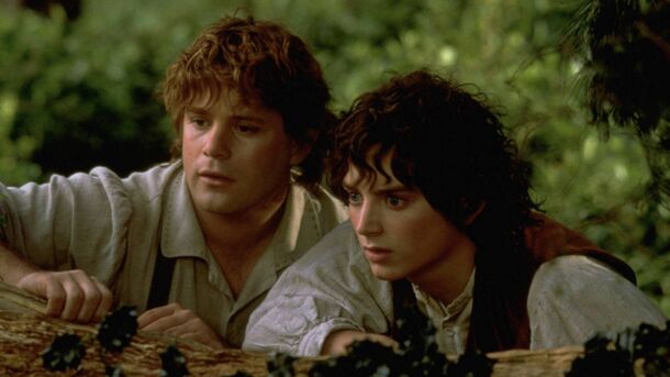 Years After the Victory, Sam and Frodo Met Again: This Was Not Mentioned in the Film, but Was Told in the Books Years After the Victory, Sam and Frodo Met Again: This Was Not Mentioned in the Film, but Was Told in the Books