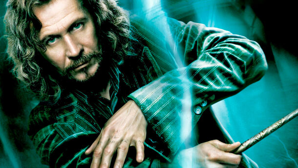Top 5 Remarkable Characters You Can't Imagine The Harry Potter Universe Without, According To Reddit Top 5 Remarkable Characters You Can't Imagine The Harry Potter Universe Without, According To Reddit