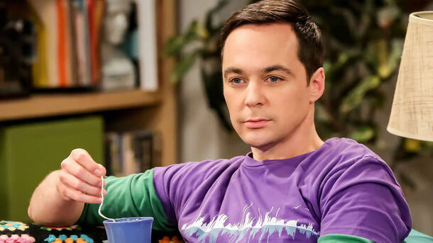 TBBT Most Underrated Character Actually Had Better Storyline Than Sheldon TBBT Most Underrated Character Actually Had Better Storyline Than Sheldon