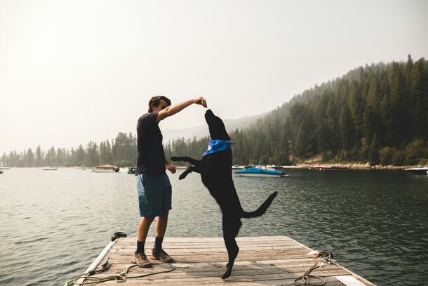 Killing with Kindness? Why Common Ways We Show Love Are Dangerous for Pets, According to a Vet