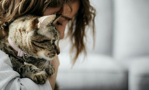 Why Science Says Your Cat’s Purr Is the Ultimate Stress-Reliever (And How It Boosts Your Mood)