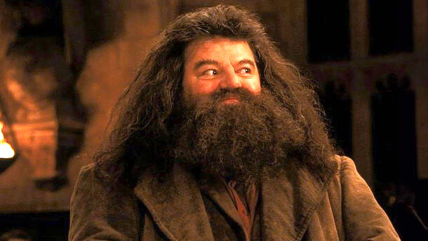 Harry Potter Movies Did Hagrid Dirty for Absolutely No Reason, Made Him Look Stupid Harry Potter Movies Did Hagrid Dirty for Absolutely No Reason, Made Him Look Stupid