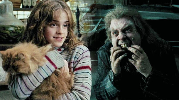 10 Iconic Harry Potter Pets, Ranked by How Likely They Are to Defend or Kill You 10 Iconic Harry Potter Pets, Ranked by How Likely They Are to Defend or Kill You