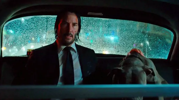 Fact: 'John Wick’s' Dark Side — The Injury No One’s Talking About