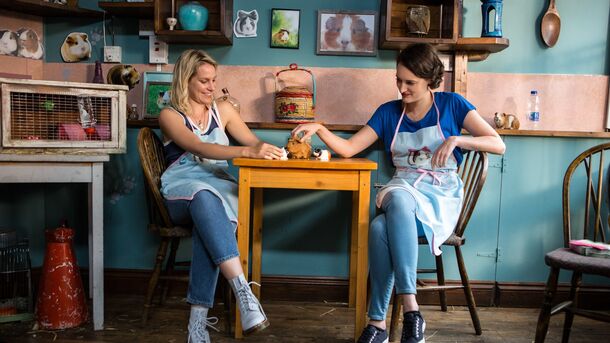 What happened to Boo in Fleabag? Fleabag blames herself for the death — and she's right to