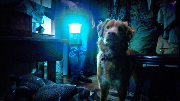 'Good Boy' Hits 3M Trailer Views in 4 Days — What’s Next for the Dog’s-Eye Horror Ahead of Its October Release? 'Good Boy' Hits 3M Trailer Views in 4 Days — What’s Next for the Dog’s-Eye Horror Ahead of Its October Release?