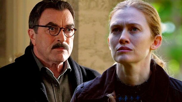 15 Gritty Crime Shows to Watch if Blue Bloods Left You Wanting More 15 Gritty Crime Shows to Watch if Blue Bloods Left You Wanting More