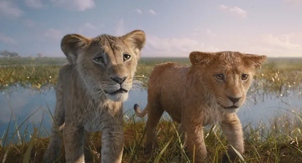 Where to Watch 'Mufasa: The Lion King' – Streaming and Home Release Guide Where to Watch 'Mufasa: The Lion King' – Streaming and Home Release Guide