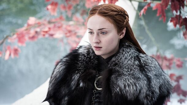 Winds of Winter theory: Sansa could become queen of Westeros by marrying a character the show cut