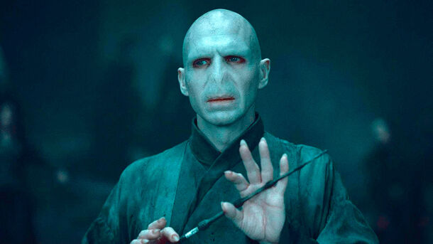 Serving the One They Were Meant to Despise: Why Death Eaters Follow a Half-Blood Voldemort Serving the One They Were Meant to Despise: Why Death Eaters Follow a Half-Blood Voldemort