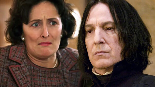 Many Missed a Detail That Changes Everything in 'Harry Potter': Harry's Aunt Knew Snape Personally
